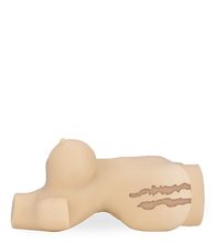 Load image into Gallery viewer, Virginia ass and vagina sex torso with suction and audio feature 8.00 lb