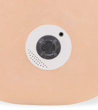 Load image into Gallery viewer, Willow life-sized vibrating and thrusting ass masturbation with suction action 19.84 lb