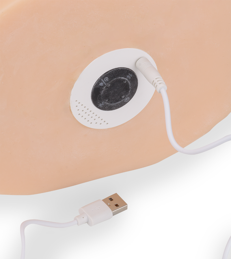 Willow life-sized vibrating and thrusting ass masturbation with suction action 19.84 lb